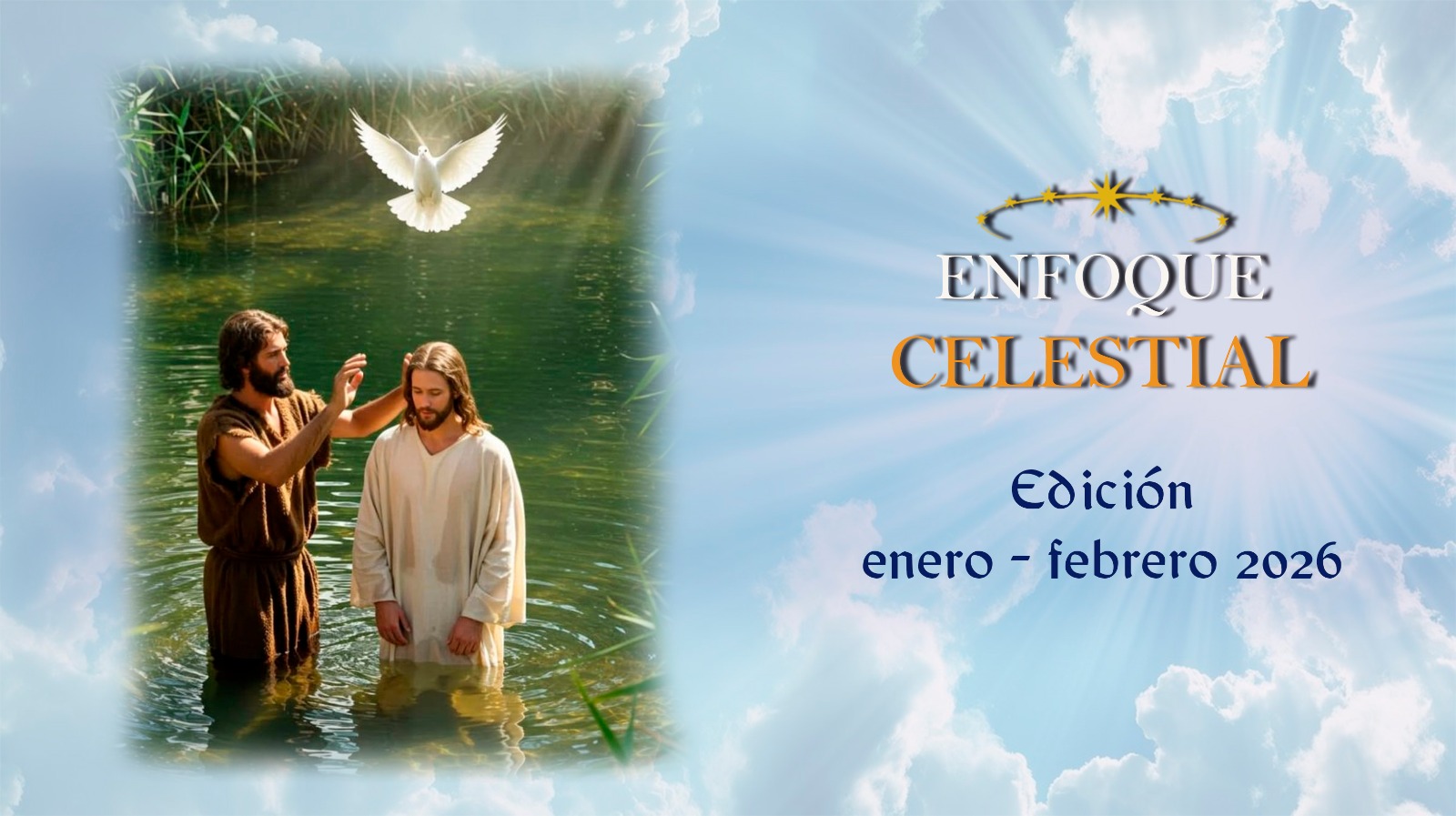 Descripción de la imagen